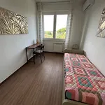 Domus Colli D'oro *